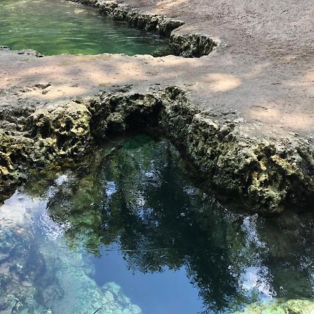 The Suwannee River Hide-A-WayMayo エクステリア 写真